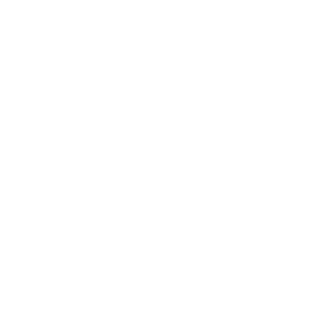 AviKIng6769's emblem