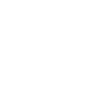 DmT1992's emblem