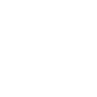 -NLHY-CY's emblem