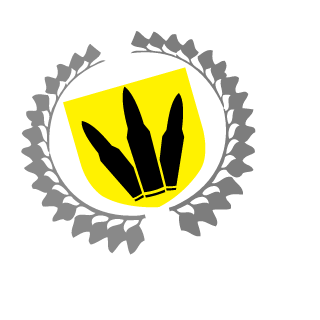 Thebigg13's emblem