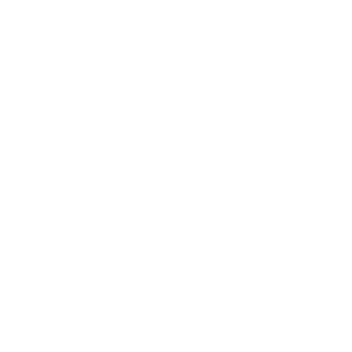 -LSK-Holz's emblem