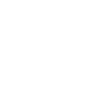 FiesesMoepp's emblem