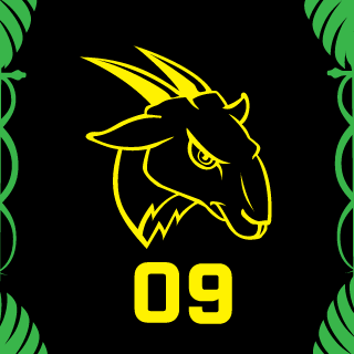 Slasherzao's emblem