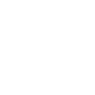 Egorka2909's emblem