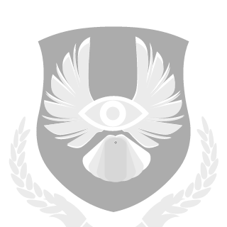 Solidiers Of Deception's emblem