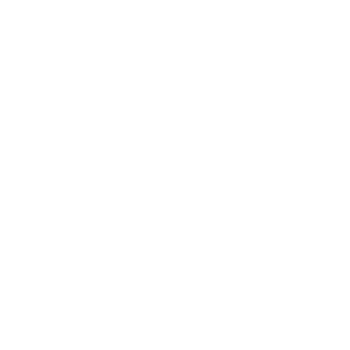 and993rey's emblem