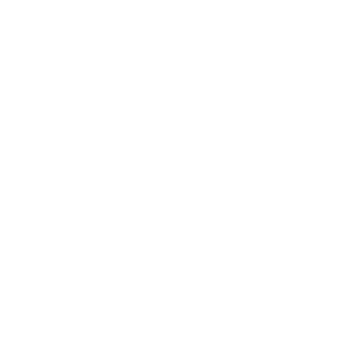 Stag_ThrustPunch's emblem