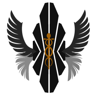 Holothewise541's emblem