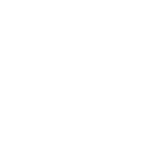 VIK_SRT's emblem