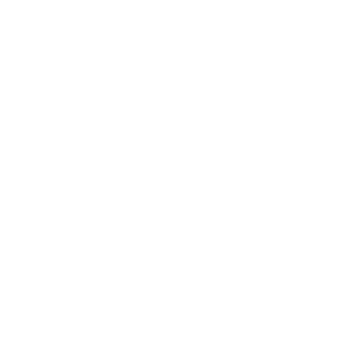 l2ader's emblem