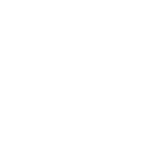 avganec228's emblem