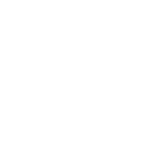 Nirvana2323's emblem