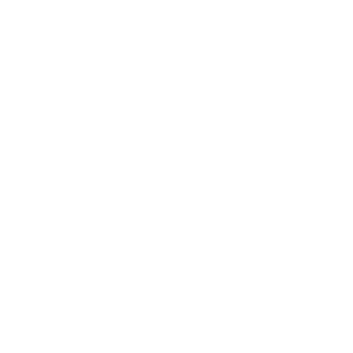 vViN1's emblem