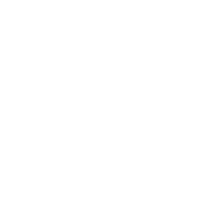 Tortoise1232's emblem