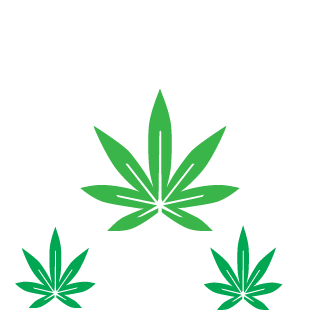 xDr Assasin14 x's emblem