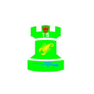 Steini151515's emblem
