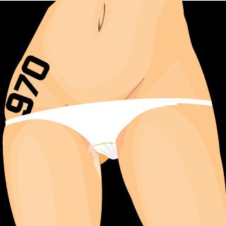 nubprofissional's emblem