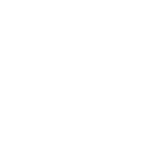 Bravosix2134's emblem