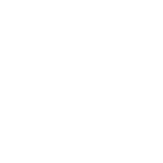 11GULIVER11's emblem