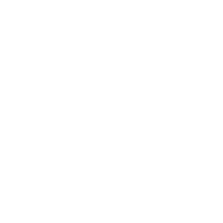 nc-HoLy's emblem