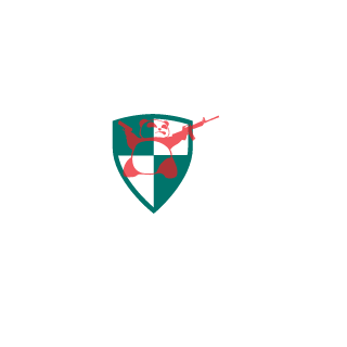 Ti2oK's emblem