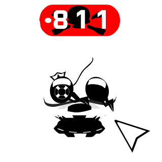 cO0mBlaster811's emblem