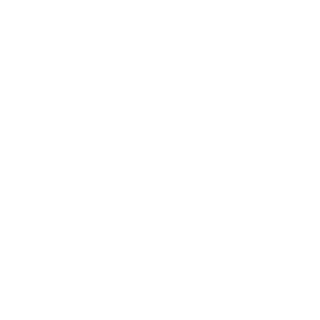 fil4y's emblem
