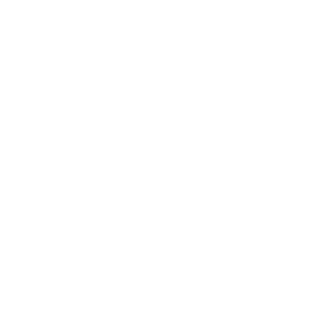 88FLVCKO's emblem