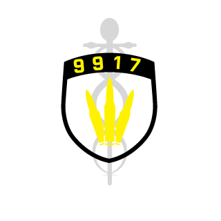 skyj9917's emblem