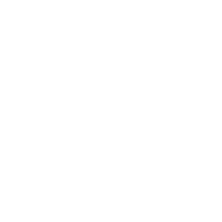 xTheBotslayer's emblem