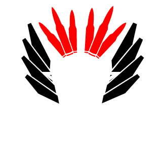 RavenSquad's emblem