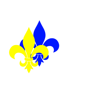 Borac_bih's emblem