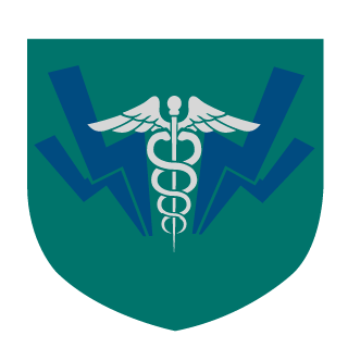 RealNxiss's emblem