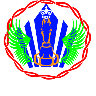 nm_razzor's emblem