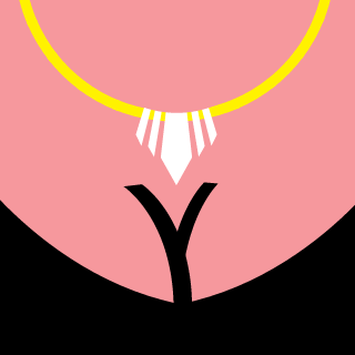 Crunch4life's emblem