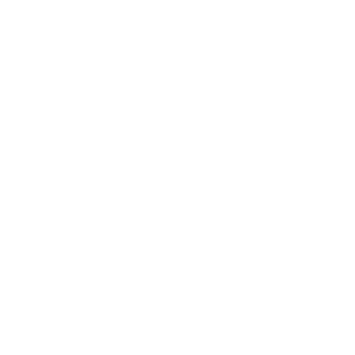 Bjr00t's emblem