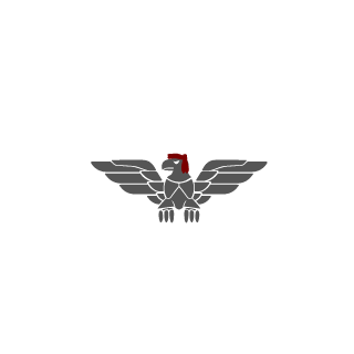 Summanen90's emblem