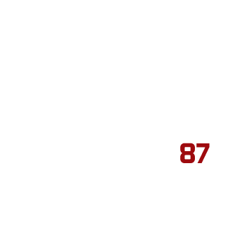 arievilO87's emblem