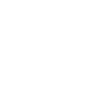 PW Maverick's emblem