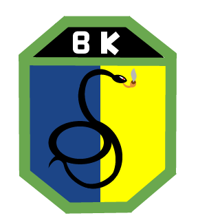 BrasilKiller's emblem