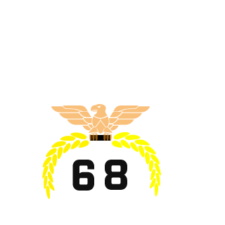 foxr1der68's emblem
