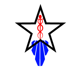 Ringviders's emblem