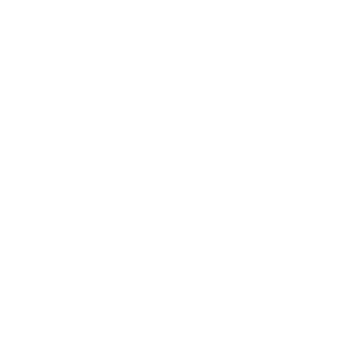 LEGOHSI's emblem