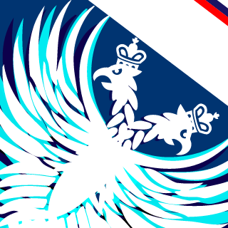 placebo609's emblem
