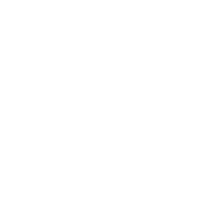 HAvOK339's emblem