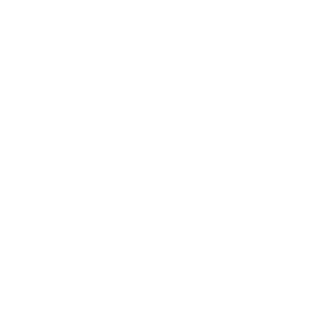 Forcebrand's emblem