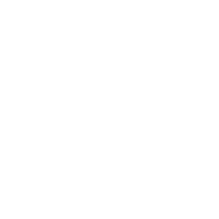 FTM2K's emblem