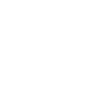 Pr0_Drag0n71's emblem