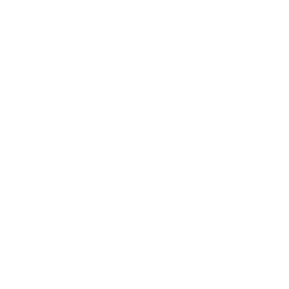 CoG IronWolf's emblem