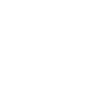 Midgardvision's emblem